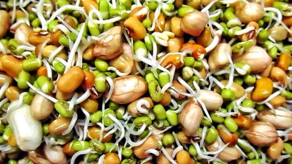 Sprouts : మొలకలు తినడం మంచిదేనా.. ఎవరు తినకూడదు, ఏ సమయంలో తింటే మంచిది..!