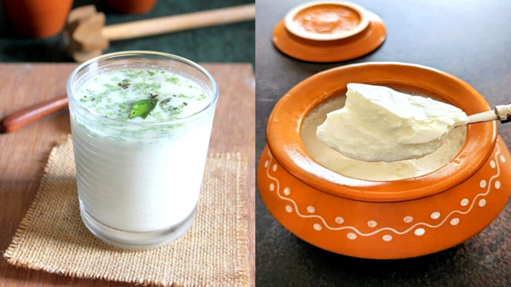 Summer Special : మజ్జిగ, పెరుగు లో ఏది మంచిది.. వేసవిలో ఎలా తీసుకోవాలో తెలుసుకుందాం..!