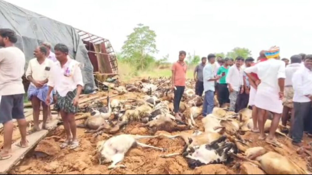 Nalgonda : నల్గొండ జిల్లాలో విషాదకర ఘటన.. గొర్రెల కాపరి తో పాటు 136 గొర్రెలు మృతి..! 