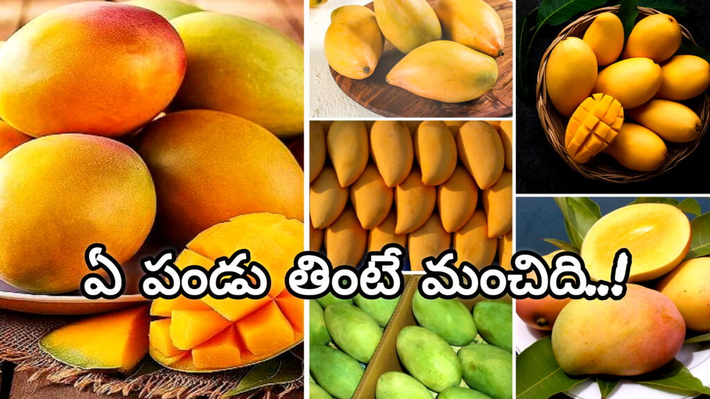 Mangoes : మామిడి పండ్ల చరిత్ర తెలుసా.. ఏ పండ్లు ఎలా తింటే ఆరోగ్యమో తెలుసుకుందాం..!