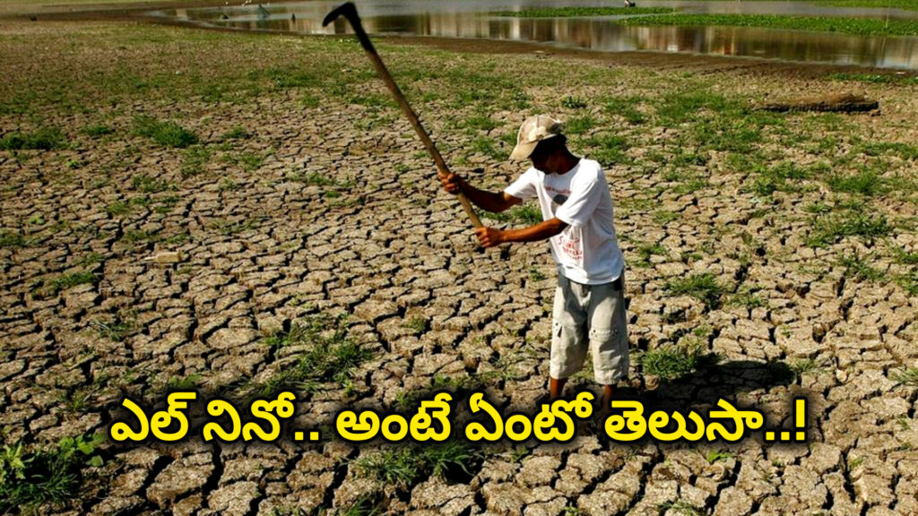 El Nino : ఎల్ నినో అంటే ఏమిటి.. తెలంగాణ రైతులు ఏ పంటలు సాగు చేస్తే లాభం.. పూర్తి వివరాలు..!